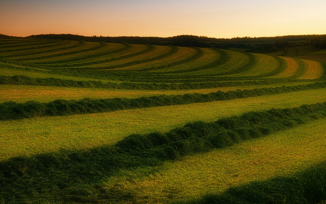 Sunset field grass trees mountains free wallpaper - medium preview image