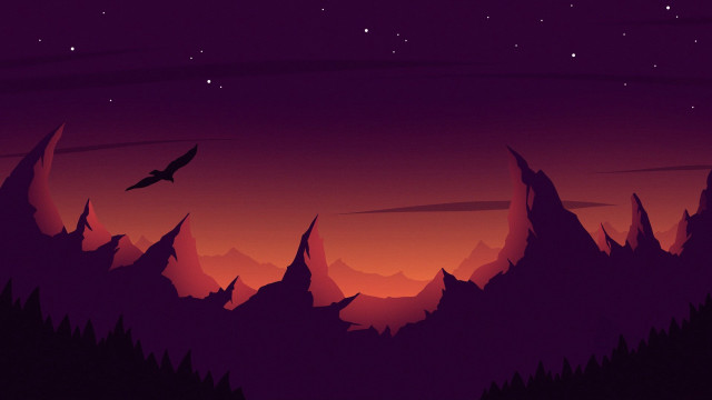 Bird mountain night aurora city free wallpaper - medium preview image
