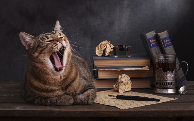 Cat yawning table books tea free wallpaper - medium preview image
