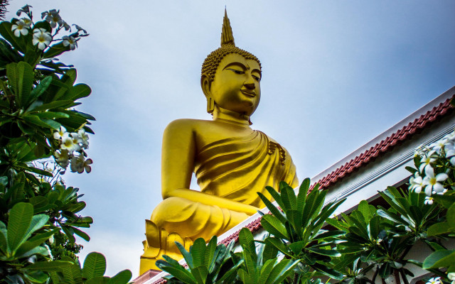 Golden buddha garden trees white free wallpaper - medium preview image
