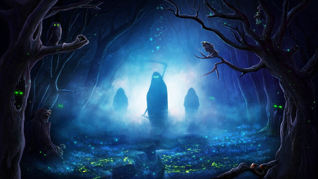 Dark forest person bird fireworks free wallpaper - medium preview image