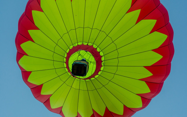 Kite green red window blue free wallpaper - medium preview image