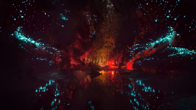 Pond lights reflection bioluminescence fireworks free wallpaper - medium preview image