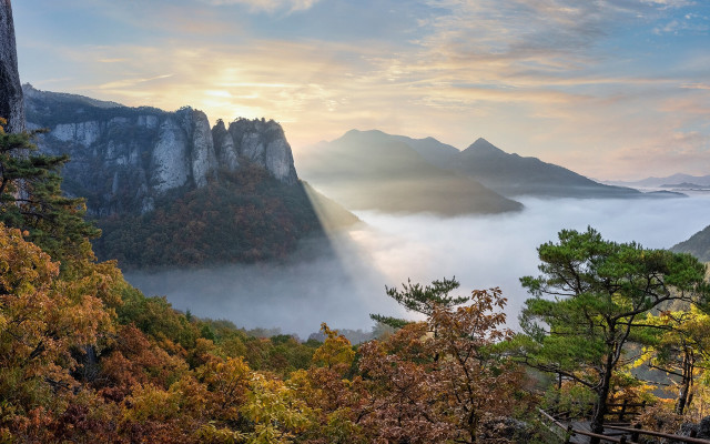 Mountain valley foggy forest beach free wallpaper - medium preview image