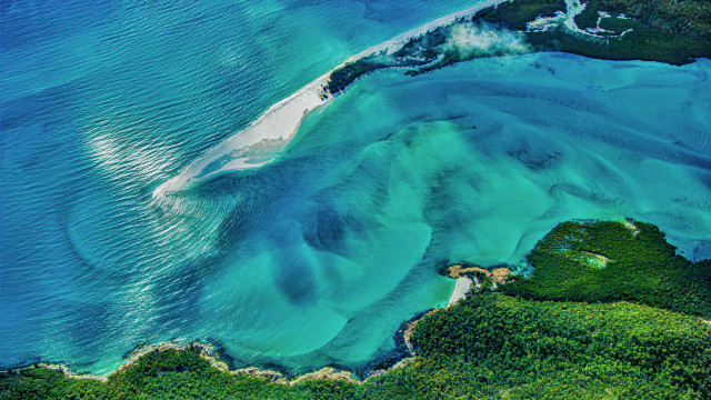 Large water surrounded land trees free wallpaper - medium preview image