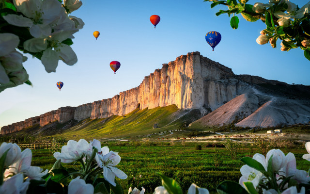 Mountain balloons flowers sky nature free wallpaper - medium preview image