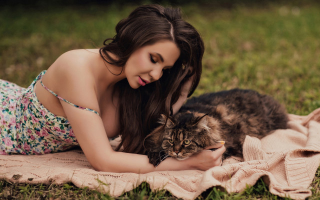 Woman laying cat blanket fashion free wallpaper - medium preview image