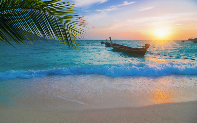 Boats beach sunset palm trees free wallpaper - medium preview image
