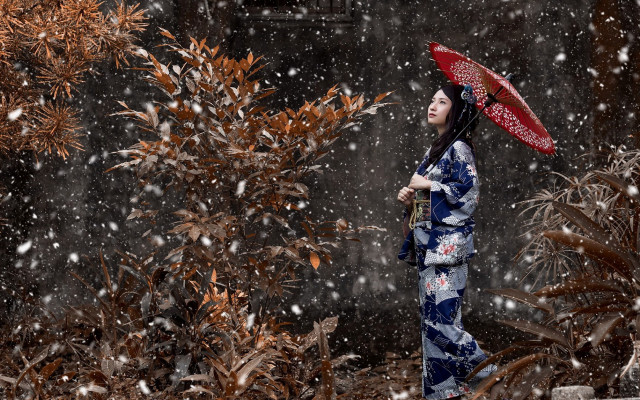 Kimono umbrella snowfall trees night free wallpaper - medium preview image
