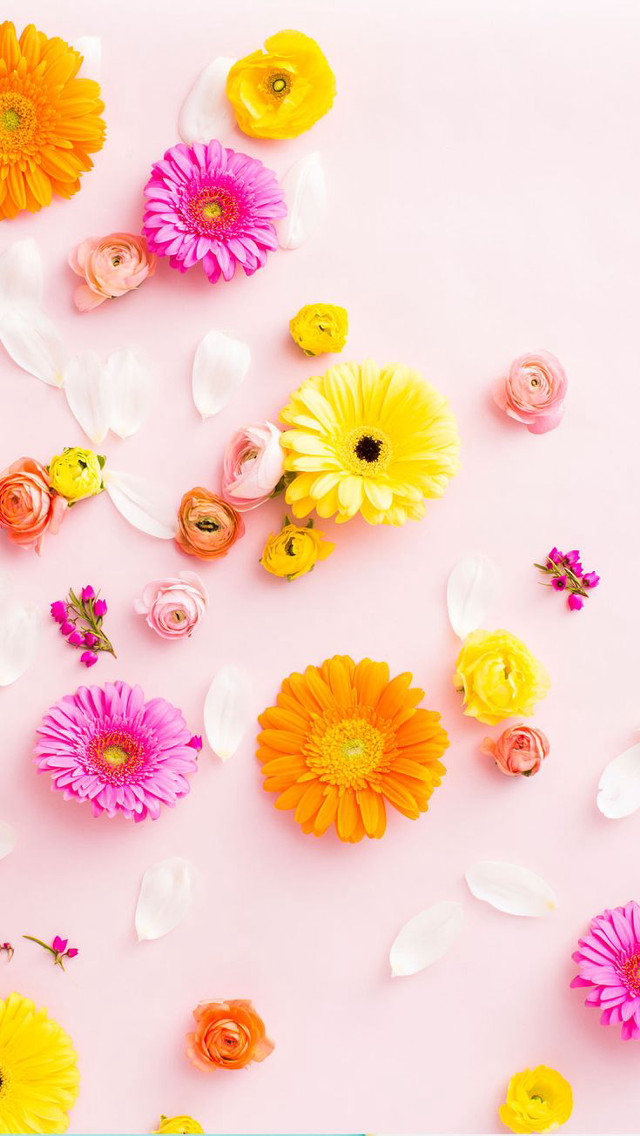 Pink flowers bordered background yellow free wallpaper - medium preview image