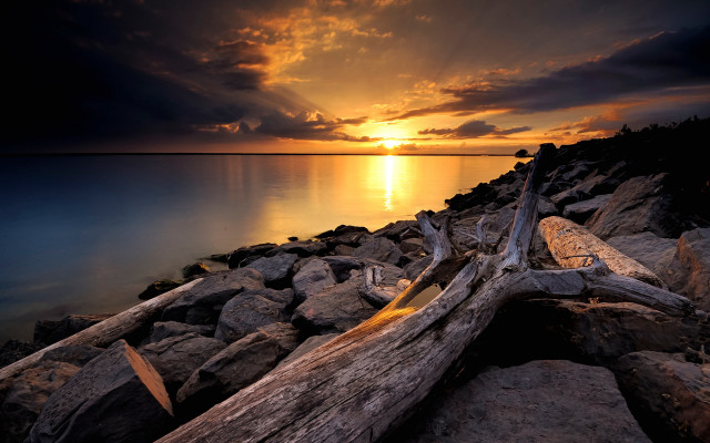 Sunset water branch rocks clouds free wallpaper - medium preview image