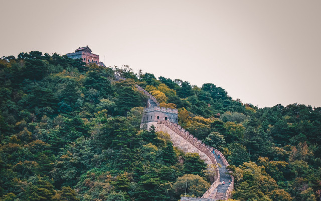 Mountain stone wall trees building free wallpaper - medium preview image