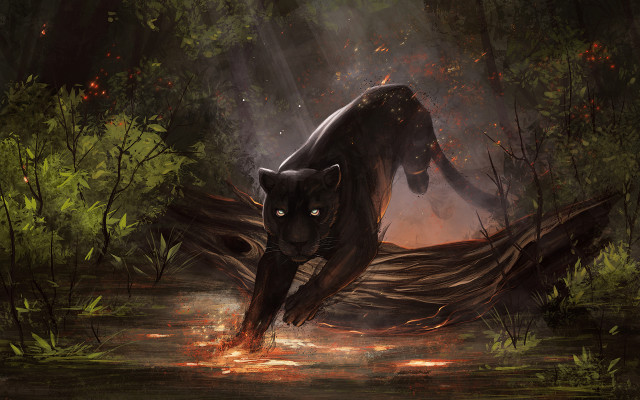 Black panther forest fire autumn free wallpaper - medium preview image