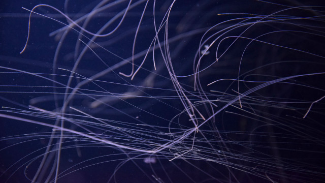 Cellphone blurry background rayonism bioluminescence free wallpaper - medium preview image