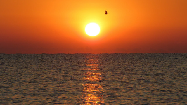 Bird ocean sunset sky mountain free wallpaper - medium preview image