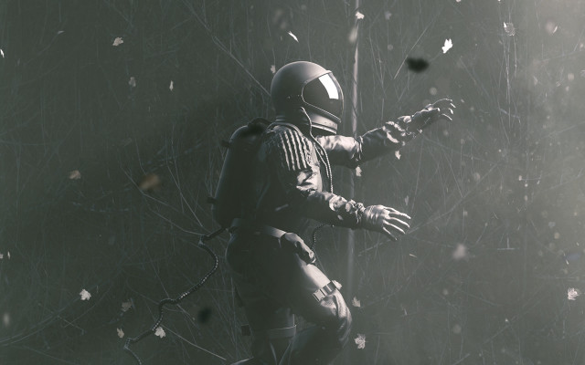 Forest commander gun fall space free wallpaper - medium preview image