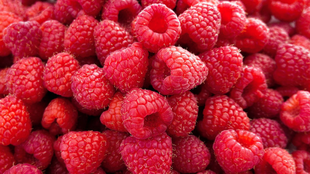 Raspberry plate fork spoon macro free wallpaper - medium preview image