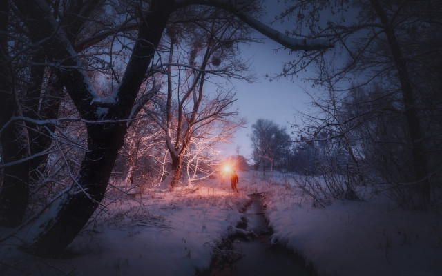 Snowy forest night flashlight autumn free wallpaper - medium preview image