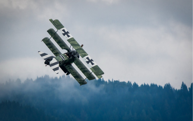 Plane trees mountains fog artsdieselpunk free wallpaper - medium preview image