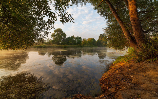 River trees water sky clouds free wallpaper - medium preview image