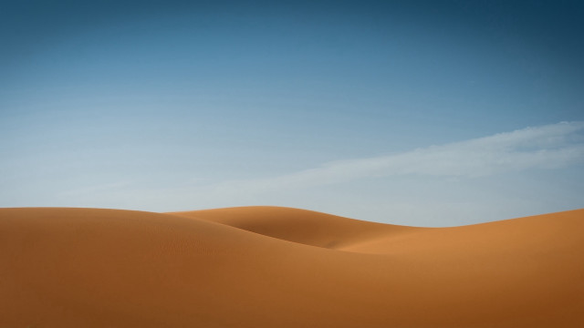 Lone tree desert minimalism sunset free wallpaper - medium preview image
