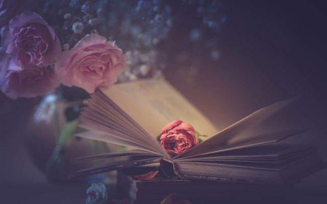 Book flowers vase roses illustration free wallpaper - medium preview image