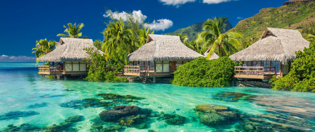 Huts beach ocean trees blue free wallpaper - medium preview image