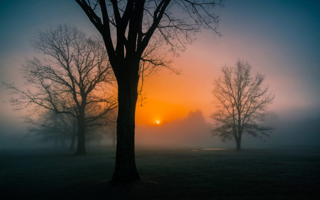 Foggy field trees sunset mountain #2 free wallpaper - medium preview image