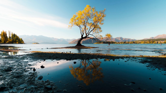 Reflected tree mountains water autumn free wallpaper - medium preview image