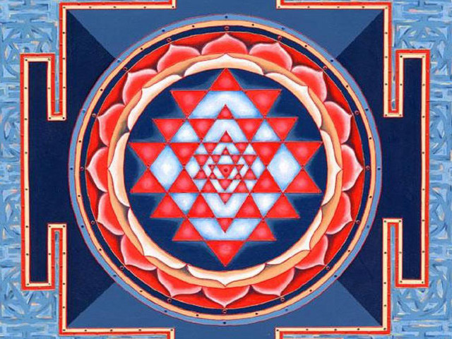Flower blue background red white free wallpaper - medium preview image