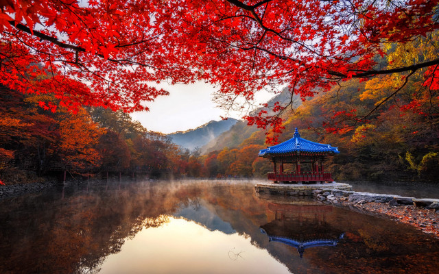 Small pavilion lake autumn leaves free wallpaper - medium preview image