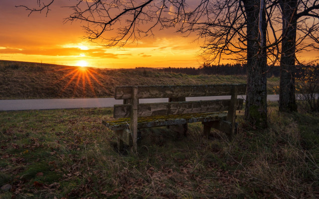 Bench grass tree water sunset free wallpaper - medium preview image