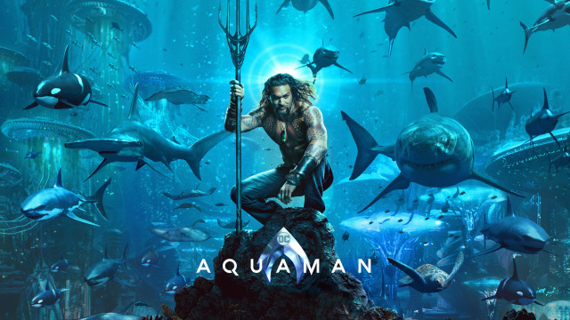 Man spear rock aquarium sharks free wallpaper - medium preview image