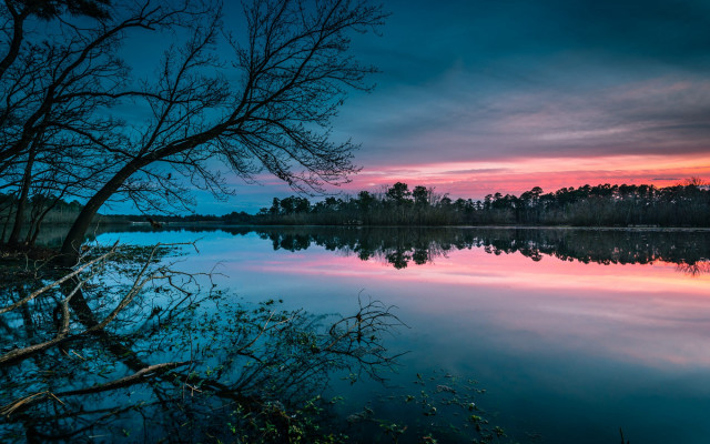 Sunset tree water pink sky free wallpaper - medium preview image