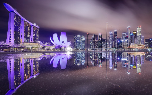 City skyline purple flower water free wallpaper - medium preview image