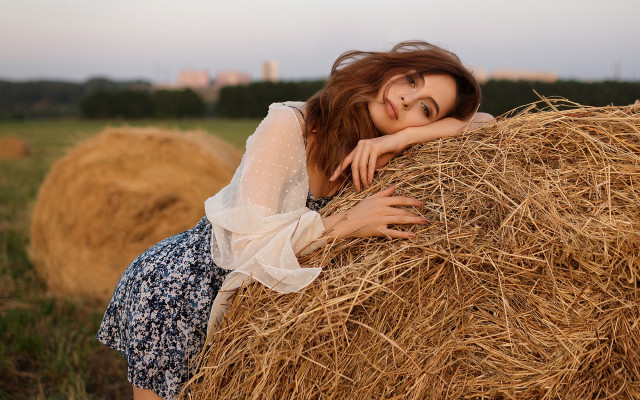 Woman hayfield portrait fashion blurry free wallpaper - medium preview image