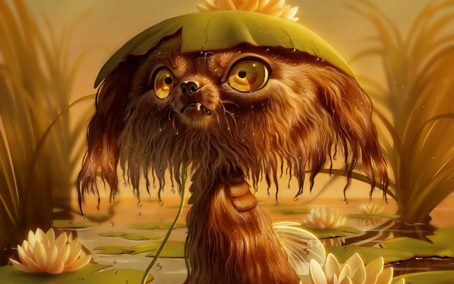 Weird creature swamp lily pads free wallpaper - medium preview image