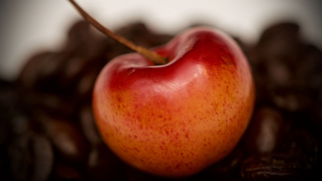 Red apple coffee beans macro free wallpaper - medium preview image