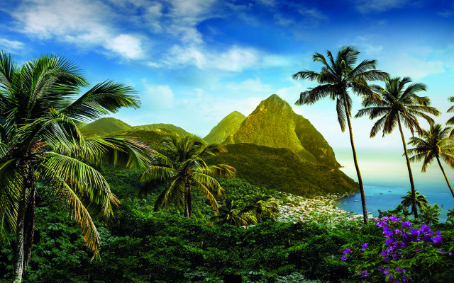 Tropical landscape palm trees mountain free wallpaper - medium preview image