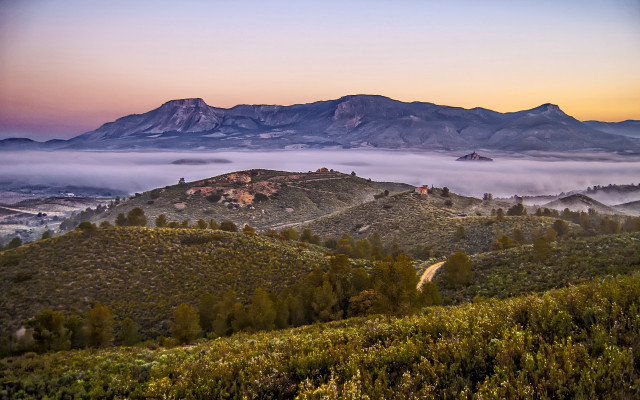 Mountain road foggy valley trees free wallpaper - medium preview image