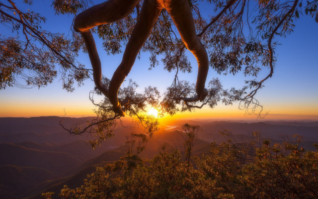 Sunset mountains valleys branch autumn free wallpaper - medium preview image