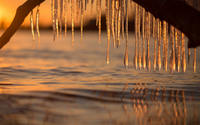Tree branch icicles water sunset free wallpaper - medium preview image