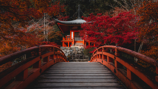Red bridge pagoda autumn forest free wallpaper - medium preview image