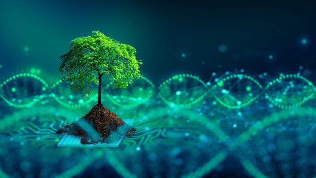 Tree island glowing biology fantasy free wallpaper - medium preview image