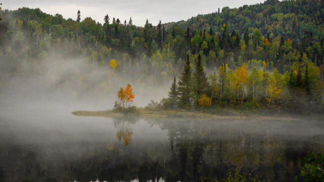 Lake fog island trees forest free wallpaper - medium preview image
