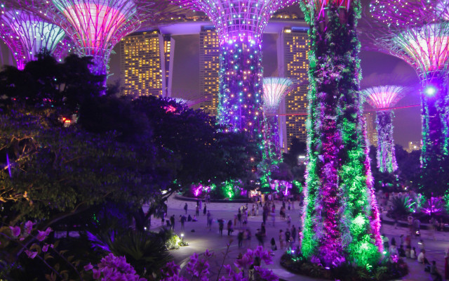 Park people lights city night free wallpaper - medium preview image