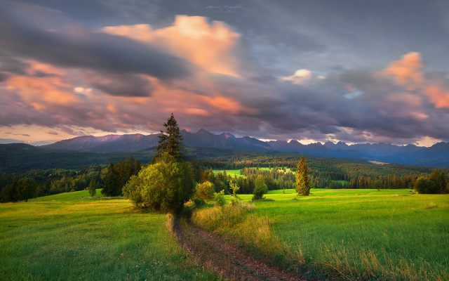 Dirt path tree mountains cloudy free wallpaper - medium preview image