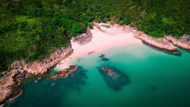 Beach boat forest aerial bush free wallpaper - medium preview image