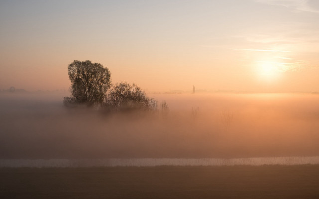 Foggy field tree sunset ocean free wallpaper - medium preview image
