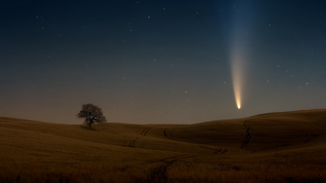 Comet tree night magic milkyway free wallpaper - medium preview image